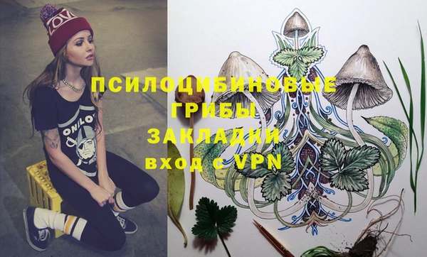 эйфоретик Инта