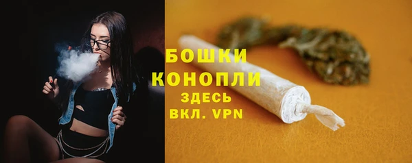 ПСИЛОЦИБИНОВЫЕ ГРИБЫ Инсар