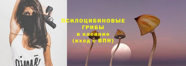 эйфоретик Инта