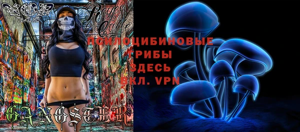 эйфоретик Инта