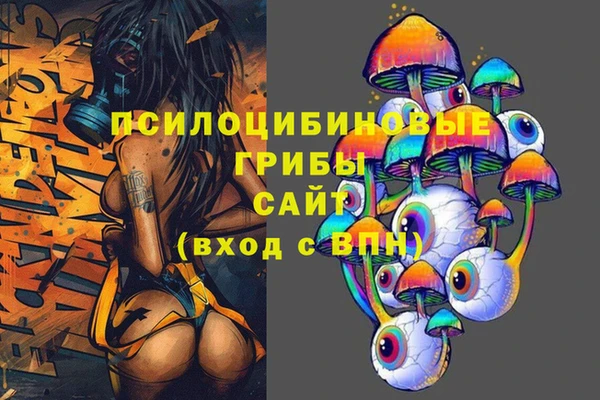эйфоретик Инта