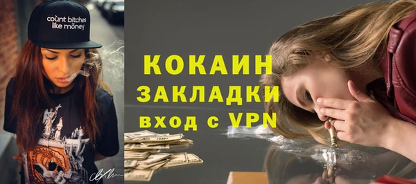 ПСИЛОЦИБИНОВЫЕ ГРИБЫ Инсар