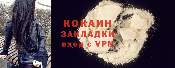 ПСИЛОЦИБИНОВЫЕ ГРИБЫ Инсар